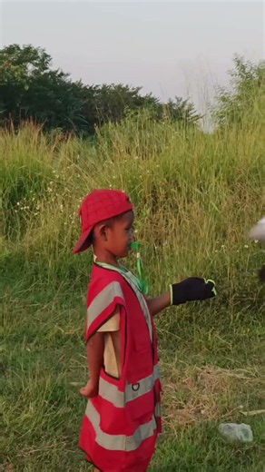 BOSS IZAL, MAKE SURE THE PIGEON IS FREE FLYING