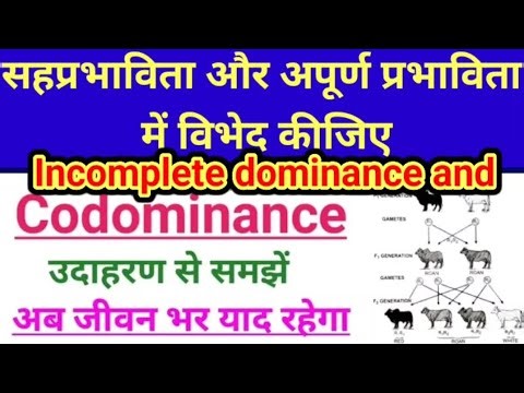 Differentiate between codominance and incomplete dominance
