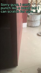 Punch training