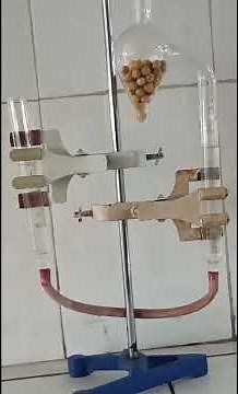Study of Aerobic respiration in germinating seeds using Ganong's respirometer