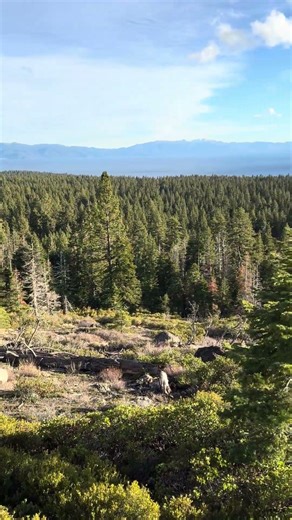 Bathroom break with a view?🫡 #hiking #wildlife #travel #bathroom
