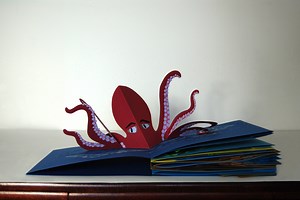 Pop-Up Book - Klaske Kokmeijer