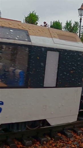 GoPro at Disney World