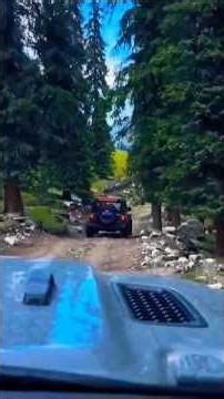 Extreme RC Off-Road Trail Adventure 🌲 | Turbo RC World Shorts