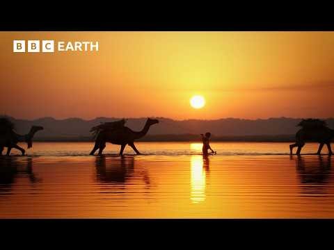 Life Along The Ganges | BBC Earth | BBC Studios