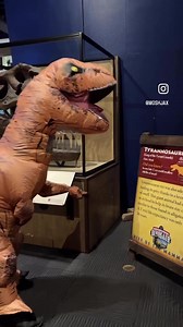 We had a special guest visit MOSH for traveling exhibition, Expedition Dinosaur: Rise of the Mammals! Buy two full-priced admission tickets and receive one FREE on weekdays only now through September 8. Visit the dinosaurs before they roam out of the Museum! https://themosh.org/traveling-exhibition-expedition-dinosaur-rise-of-the-mammals | Museum of Science & History, Jacksonville