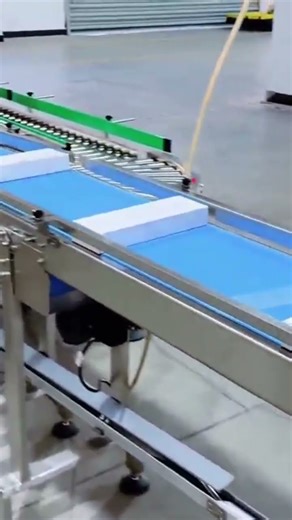 Full automatic robot carton box case packing line#robot