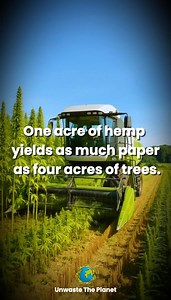 Hemp has long been recognized as an exceptionally efficient raw material for paper production. Unlike trees, which take between 20 and 80 years to mature, hemp can be harvested in just 3 to 4 months, making it a significantly more renewable resource. Furthermore, hemp stalks contain up to 85% cellulose, whereas wood contains only 30–40%. Cellulose is the primary component used in papermaking. Paper made from hemp is generally stronger, more durable, and more resistant to decomposition than paper