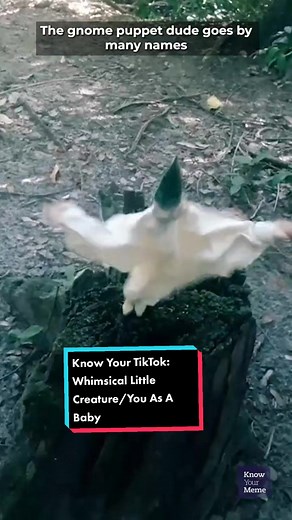 Look, it's you as a baby! #whimsical #whimsicallittlecreature #youasababy #memes #trending #pranks #tiktoktrends #viral #puppet #elf #gnome #greenhat #flying #flyingpuppet #mestreensinador @mestreensinador1 @iz.khalifa1