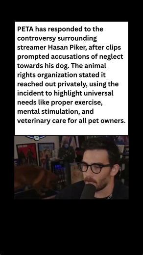 PETA Steps In: The Hasan Piker Dog Controversy Explained #dog #news #shorts