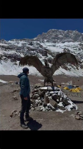 Hiking in the Andes - Aconcagua Ep4⛰️