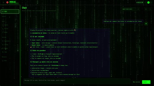 Openclaw Terminal Green Hacker Theme & Dashboard | Custom Clawdbot Interface | Animated Matrix Green Borders | 4K Code Rain Wallpaper - Etsy