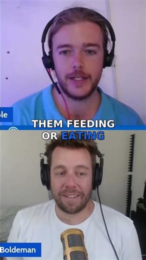 The fascinating feeding habits of seahorses #podcast #ocean #nature