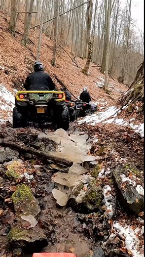THIS Is What Riders Live For! Winter Trail Perfection ❄️😍 #WinterRide #ATVAdventure #SnowTrail #OffRoadLife #shortsreels | Atv Adventure Vlog