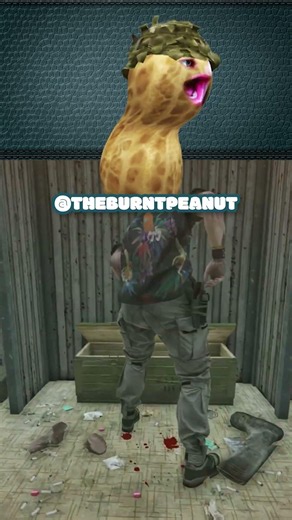 Please Stand Still Sir