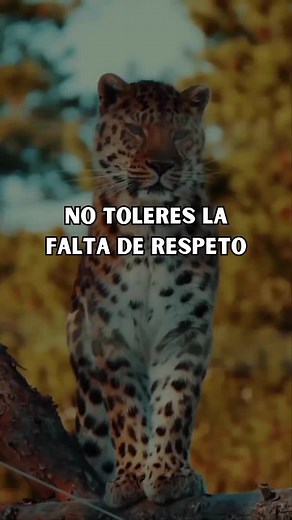 El respeto: clave de la convivencia | Reflexiones motivadoras