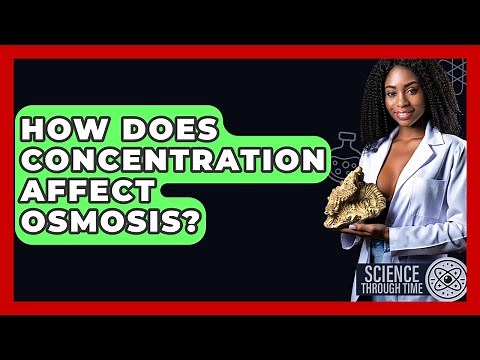 How Does Concentration Affect Osmosis? - Science Through Time
