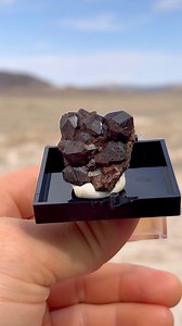 575K views · 6.8K reactions | NEW LOCATION  Dig your own Garnets, quartz, and epidote! Check out the comments to learn more! Make sure to like and follow for more dig locations! | That Camping Couple | Facebook