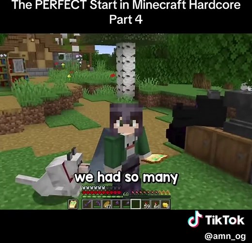 This is the first episode of my Hardcore Series where I was so lucky with the rare seed I got! In this Minecraft Hardcore video I will get achievements, get diamonds, trade with villagers, build a raid farm, get netherite, beat the ender dragon, and get an elytra! I was inspired to make this Minecraft Hardcore Series by Sandiction, Wadzee, SB737, Kolanii, aCookieGod, Carvs and so many more! My main purpose with this Minecraft series, that will be a part of over 100 days in Minecraft Hardcore 1.2