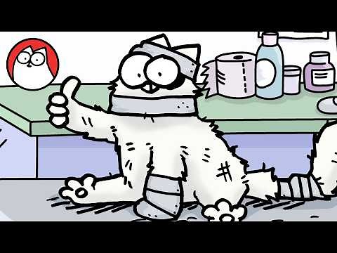 Cat Vs Vet - Double Bill Special