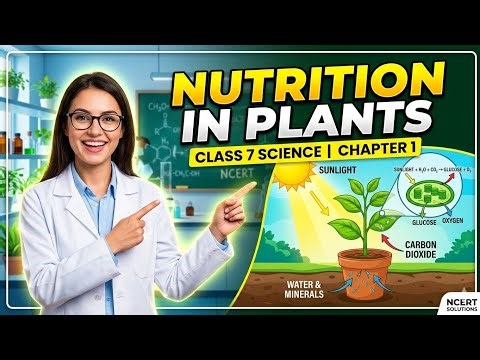 Chapter 1- Nutrition in plants (Class 7)