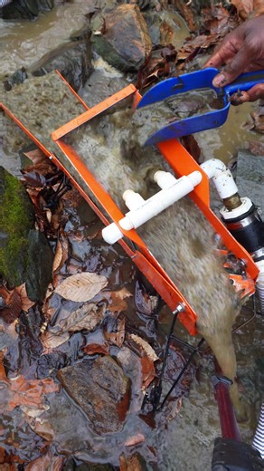 Mini Orange catching all the fine gold #goldprospecting #NaturalGold #GoldNuggets #GoldInQuartz #ProspectingLife