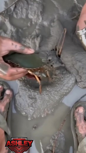 38K views · 2.5K reactions | Ito lang pala ang sikreto ng mga big content creators! #tips #tutorial #follower | Ashley Dave Samar | Facebook