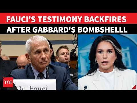‘VACCINE NOT EFFECTIVE’: Fauci’s COVID Remark Lands Him In Trouble After Gabbard’s BOMBSHELL Drop