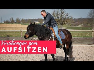 Endlich aufsitzen | Vorübungen | Jungpferdeausbildung