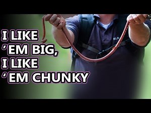 Giant Earthworm facts: underground monsters | Animal Fact Files