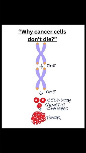 Why cancer 🥺cells are immortal and normal body cells mortal🤯|NEET |NCERT |Telomere|Telomerase