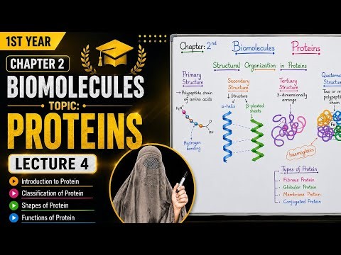 Lecture 4 | Proteins, introduction, classification, types, structure | Chapter 2 | 1st year