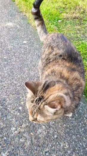 lusia outside😁😃😆