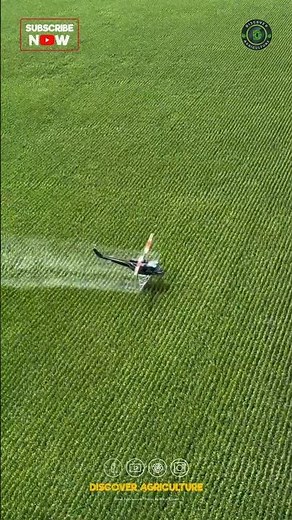 Helicopter Spraying Pesticides at Farm🚁