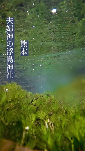 【驚異の湧水量】日々13万トン湧き出る浮島の水でお祓いする「気持ち #浮島神社 を整える参拝」 #shorts