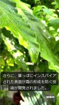 面白いニュースまとめ