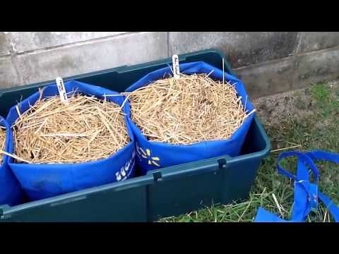 Using Walmart Grow Bags with the Self Watering System Part 1