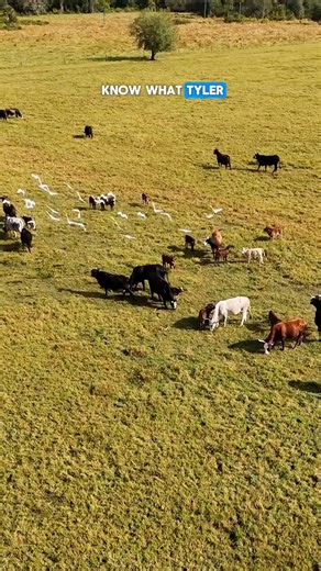 A record-setting year for Babcock Ranch 👏 With over 1,000 new homes sold, hundreds of families welcomed, and a growing community of more than 15,000 residents, the momentum continues as Babcock Ranch earns national recognition as the 4th best-selling master-planned community in the country. And this is only the beginning. From new commercial centers and places to gather to major partnerships and destinations coming online, 2026 is shaping up to be a pivotal year. To those who already call Babco