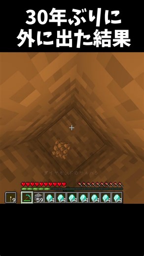 30年振りに外に出た結果… #shorts #マインクラフト #マイクラ