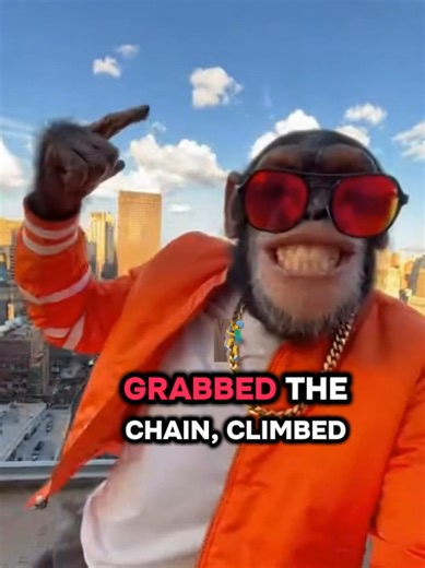 Discover the First AI Chimp Influencer