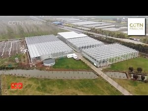 Développement rural : agriculture intelligente et écologique