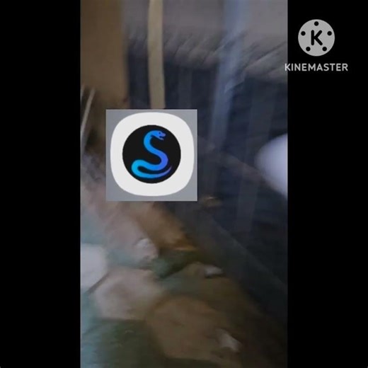 It this my PowerDirector Icon was killed by Snake Mods Icom?