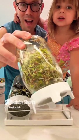 Easy DIY Sprouts You Can Grow At Home