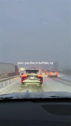 Navigating Buffalo's Winter Commute