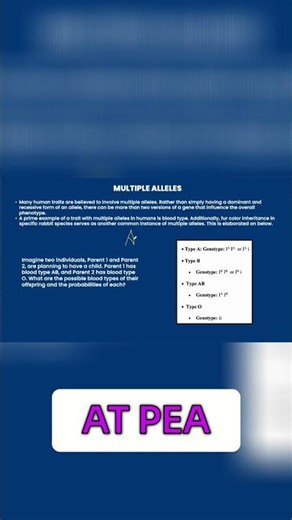 Blood Types: Understanding Multiple Alleles in Genetics