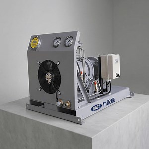 [Hot Item] Low Maintenance Oil-Free Hydrogen Compressor with High Performance