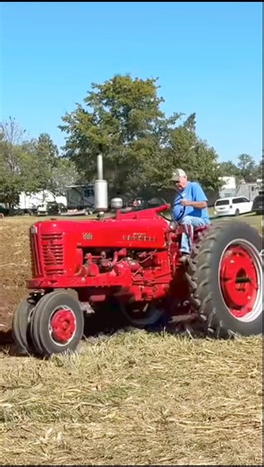 Old Farmall Tractor Plowing Like a Beast 🚜🔥 #oldtractor #oldfords #plowing