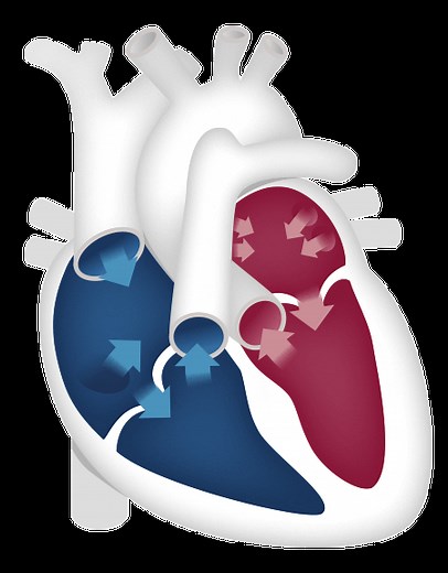 What Is PAH? | Medical Abbreviation
