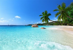Zoom virtual background beach video download