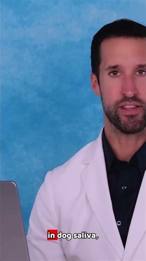 Is It Safe to Let Your Dog Lick Your Face? | Medical Advice